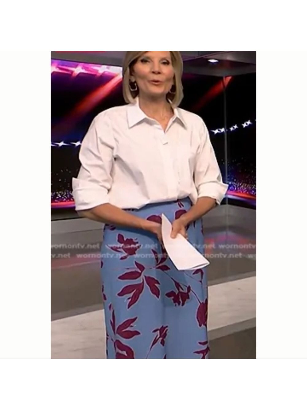 Thakoon Light Blue Burgundy Skirt Size 4
